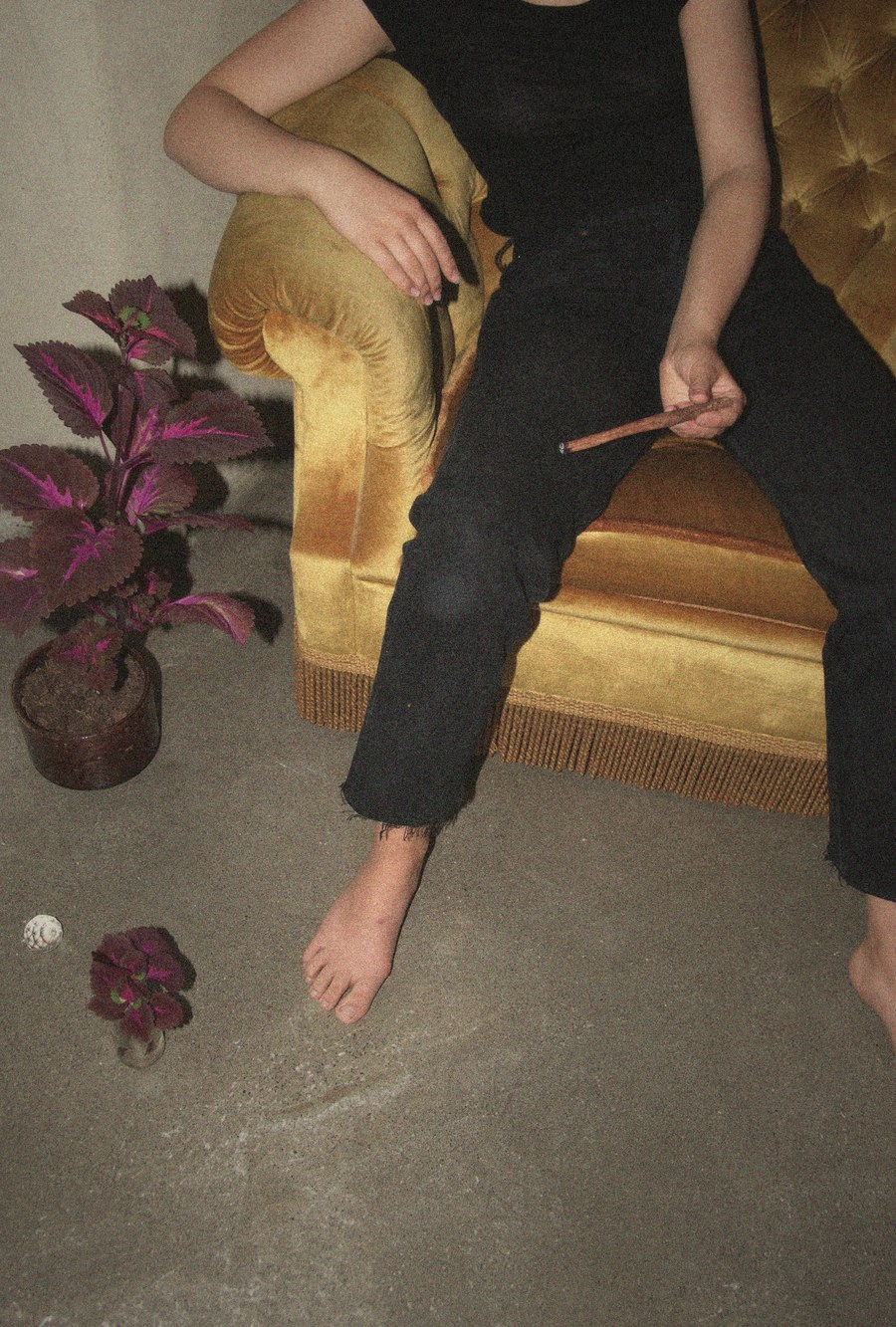 Lounging on a gold velvet sofa